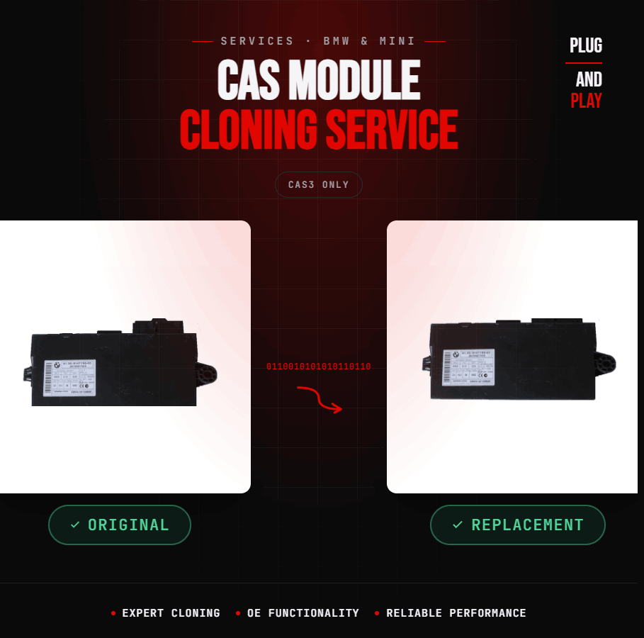 CAS3 Cloning Service