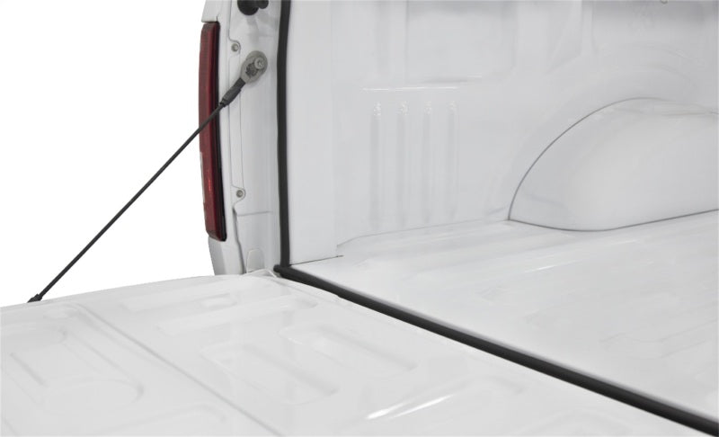 Access ories Trailseal Tailgate Gasket 1 Kit Fits All Pickups