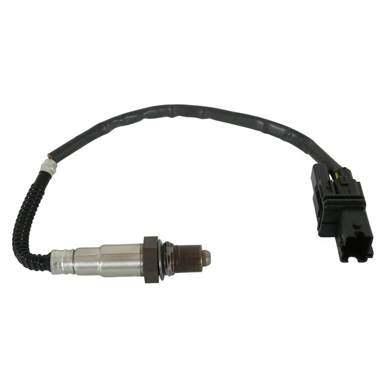 AEM Universal Wideband UEGO Sensor with Stainless Manifold Bung Install Kit
