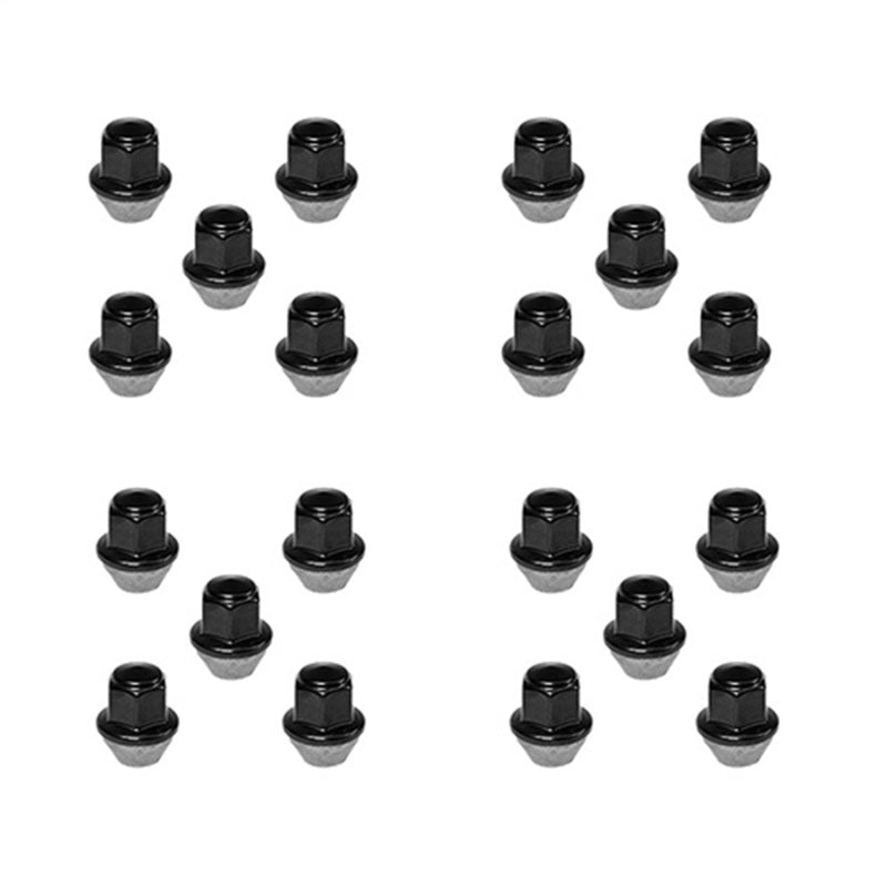 Ford Performance Parts Ford Racing 15-18 Mustang Black Lug Nut Kit (20 Lug Nuts)