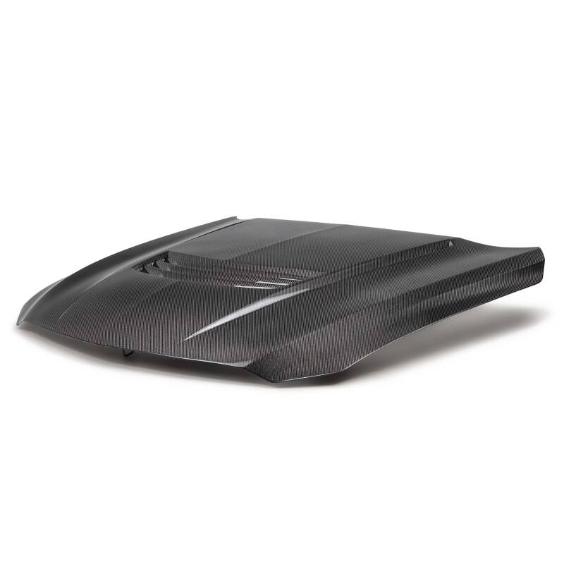 Anderson Composites 20-23 Cadillac CT5-V Blackwing Carbon Fiber Hood - Type SV AC-HD22CACT5BW-SV-DS