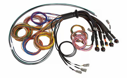 797 Performance, LLC Haltech NEXUS R5 Universal Wire-In Harness - 5M (16ft)