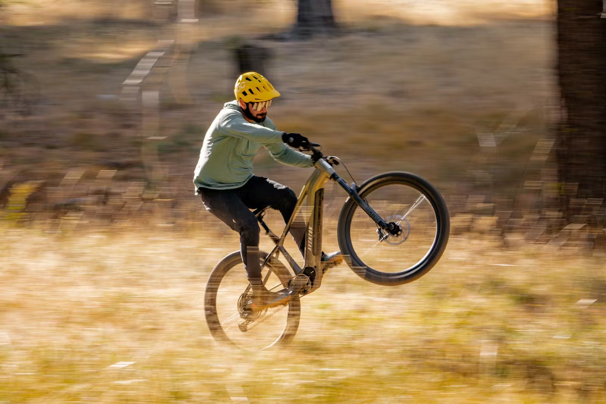 Aventon RAMBLAS eMTB