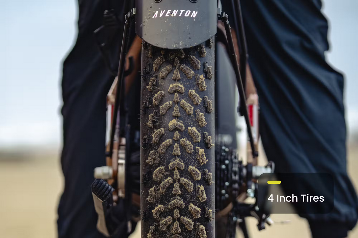 Aventon Aventure.3 E-Bike Step-Through