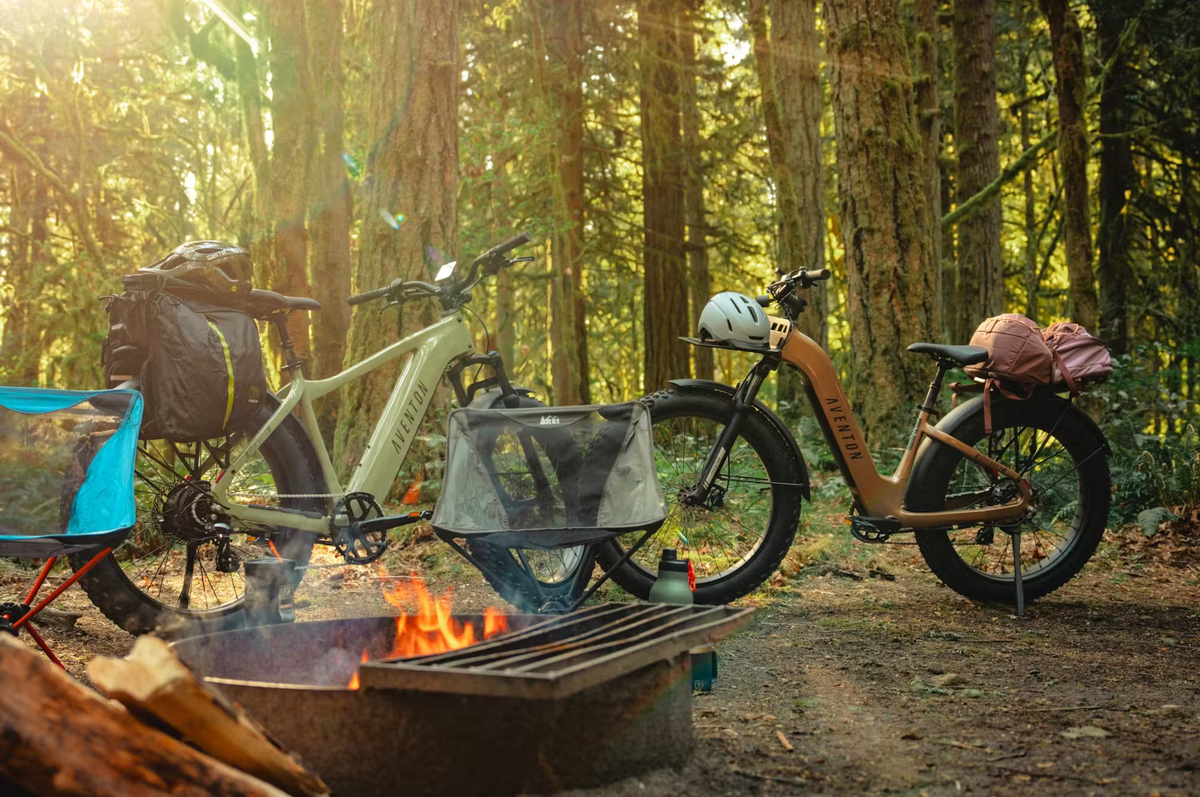 Aventon Aventure.3 E-Bike Step-Over