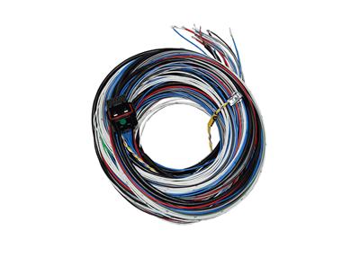 FuelTech FT450/550 A Unterminated Harnesses - 2001005569