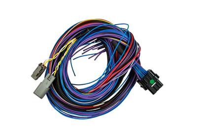 FuelTech Peak & Hold Harnesses - 2001007186
