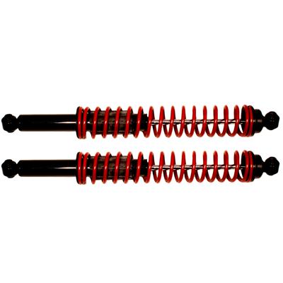 Gabriel Load Carrier Shocks - 43181