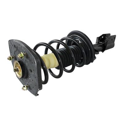 GSP Loaded Strut Assemblies - 810319
