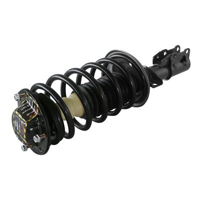 GSP Loaded Strut Assemblies - 810338