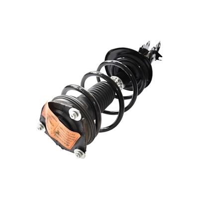 GSP Loaded Strut Assemblies - 882444