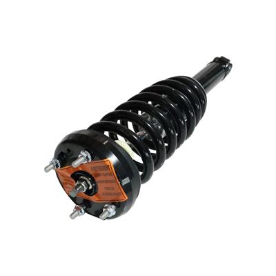 GSP Loaded Strut Assemblies - 883187