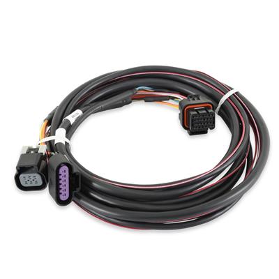 Holley EFI Systems Wiring Harnesses - 558406