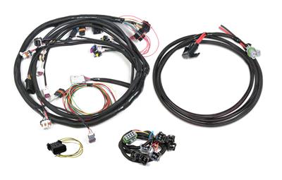 Holley EFI Systems Wiring Harnesses - 558508