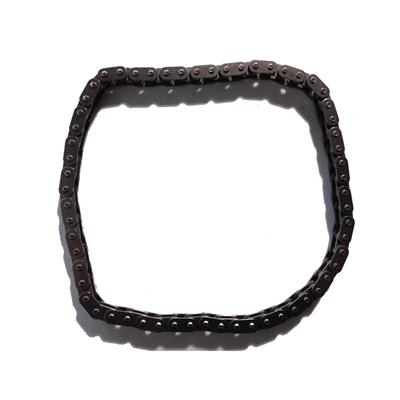 Hinson Motorsports C7R LS Timing Chains - C7RCHAIN