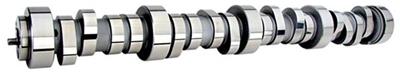 Howards Cams American Muscle Hydraulic Roller Tappet Camshafts - 19724512