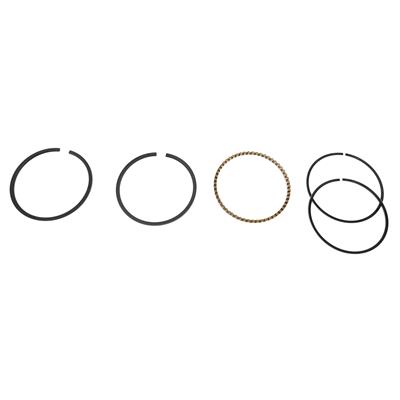 Hastings Premium Ductile Ring Sets - 2M5662S040