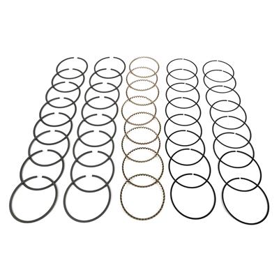 Hastings Premium Ductile Ring Sets - 2M8562