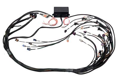 Universal Harness - HT141360