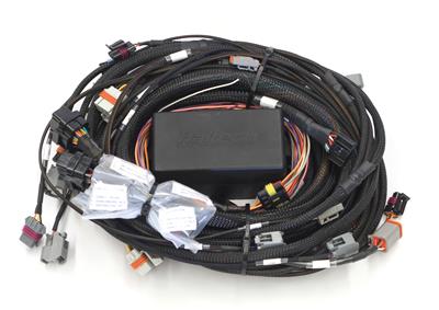 Universal Harness - HT141362