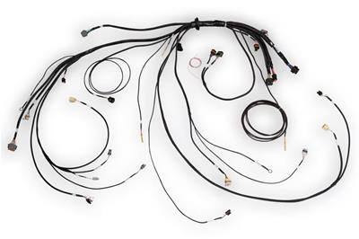 Haltech Nexus Rebel LS Terminated Harnesses - HT186500