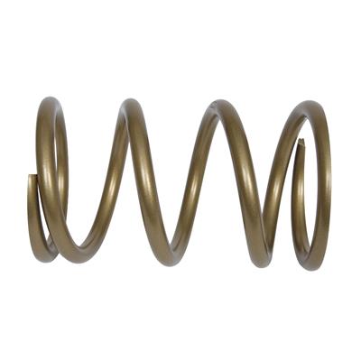Landrum Conventional Rear Coil Springs - H400