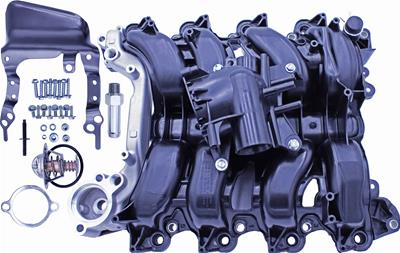 Lares Intake Manifolds - 33305