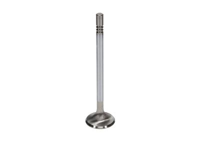 Manley Race Series Stainless Steel Valves - 116158