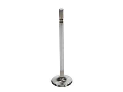 Manley Race Series Stainless Steel Valves - 116168