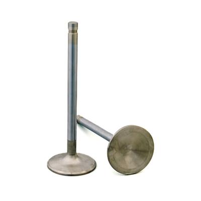 Manley Severe Duty Series Stainless Steel Valves - 118158