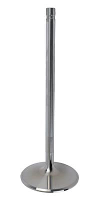 Manley Titanium Valves - 119201