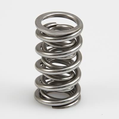 Manley NexTek Valve Springs - 22143616