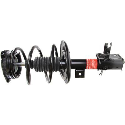 Monroe Quick-Struts - 172902