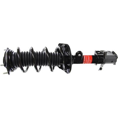 Monroe Quick-Struts - 272492