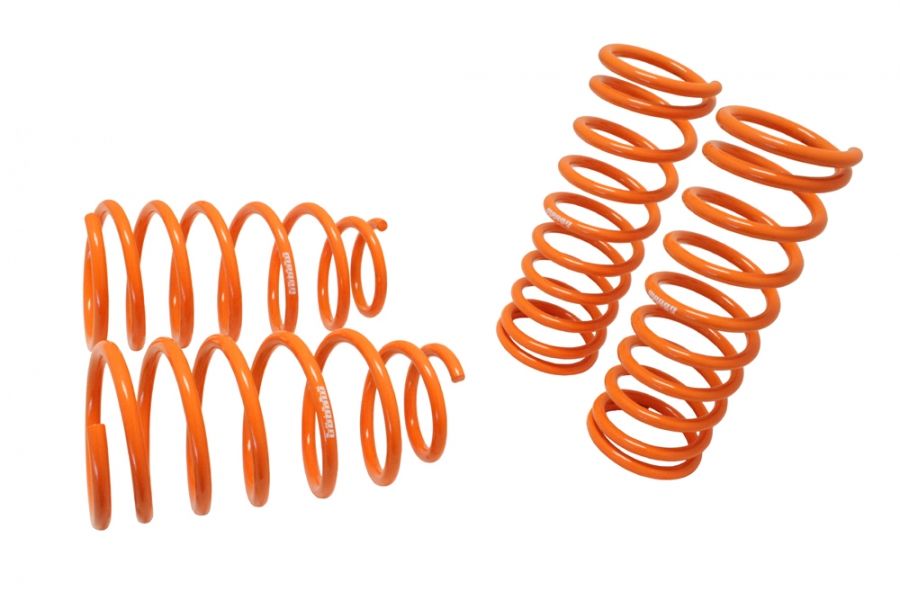 Megan Racing Lowering Springs KIA Rio for 2000-2005 38mm Drop MR-LS-KR005