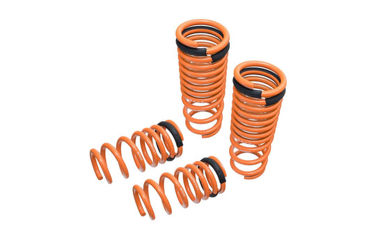 FR SPORT Megan Racing Lowering Springs for Nissan GT-R 2009-2018 - MR-LS-NR35