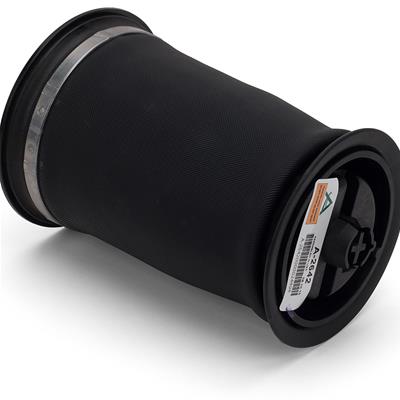 Arnott New Air Springs - A2642