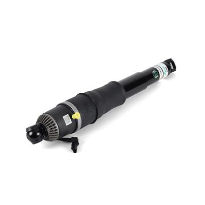 Arnott New Eibach Air Shocks and Struts - AS3066