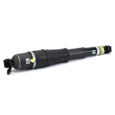 Arnott New OE Air Shocks and Struts - AS3429