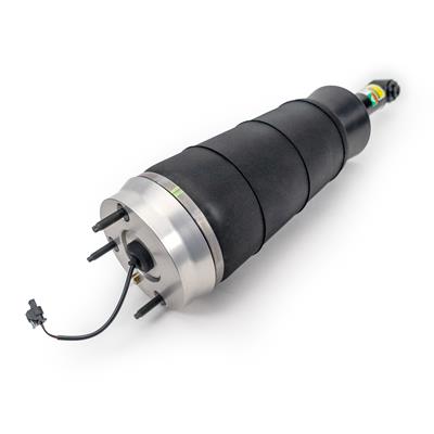 Arnott New OE Air Shocks and Struts - AS4412
