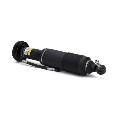 Arnott Remanufactured Air Shocks and Struts - SK2413