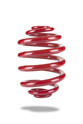 Pedders SportsRyder Stock Height Coil Springs - 2589