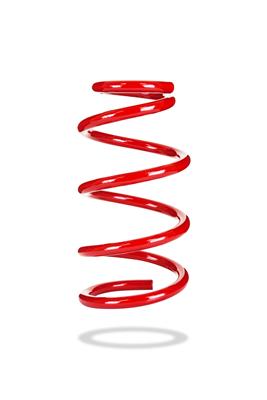 Pedders Standard Height Springs - 7665