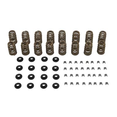 Quicksilver Circle Track Valve Springs - 8M0120862