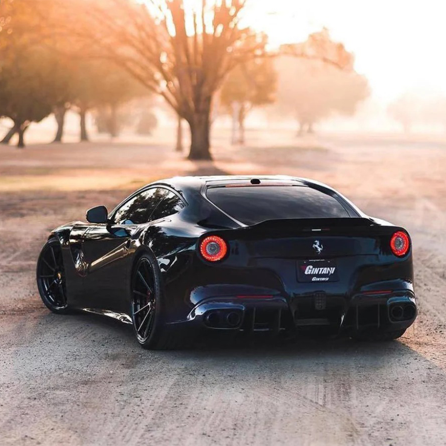 DNC Style Carbon Fiber Rear Spoiler for Ferrari F12