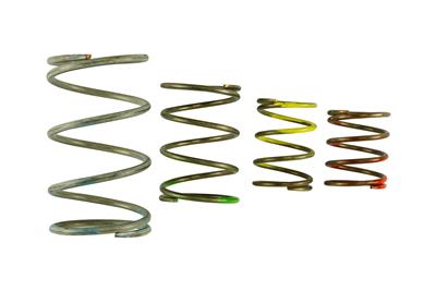 Turbosmart Wastegate Springs - TS05503151