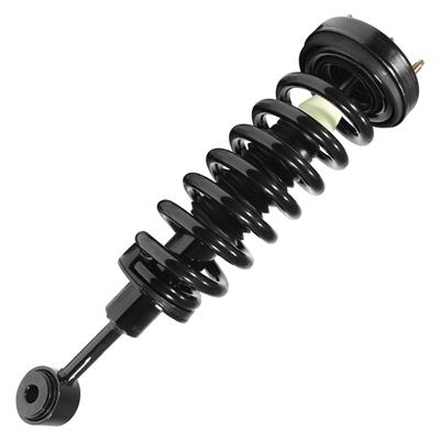 Unity Automotive Complete Strut Assemblies - 11204