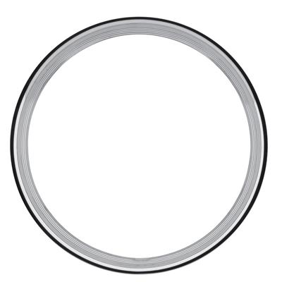 U.S. Wheel Trim Rings - TRSS300516R