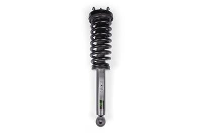 Zone Offroad Strut Assembly, Loaded, Twin Tube, Front, 4.00 in. Lift, Ford, Gray, Each - ZONF4402