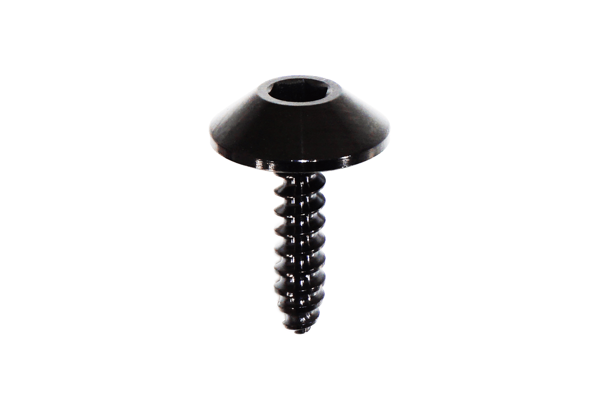ZSPEC Fuel Door Dress Up Bolts® Hardware Kit for Lexus LC 500, Titanium